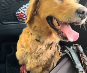 R0202008 Donde habia riesgo ahora hay calma (Parte 2)