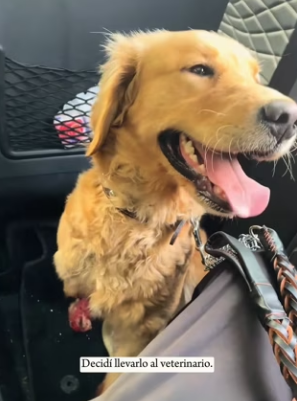 R0202008 Donde habia riesgo ahora hay calma (Parte 2)