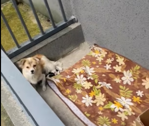 R0202011 De la angustia al alivio (Parte 2)