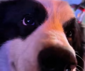 R0202011 El cuidado fue la respuesta (Parte 2)