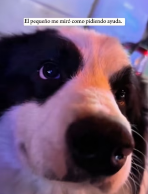 R0202011 El cuidado fue la respuesta (Parte 2)