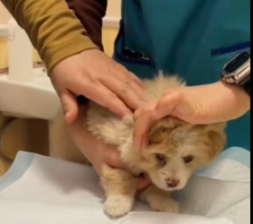 R0202014 El rescate trajo esperanza (Parte 2)