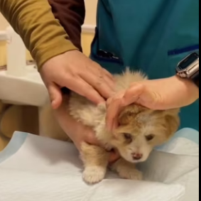 R0202014 El rescate trajo esperanza (Parte 2)