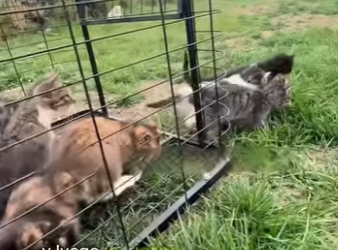 A3101002 Donde hubo miedo ahora hay refugio (Parte 2)