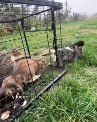 A3101002 Donde hubo miedo ahora hay refugio (Parte 2)