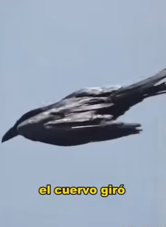 A3101013 La compasion actuo primero (Parte 2)