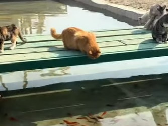 A3101004 El cuidado marco la diferencia (Parte 2)