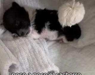 A3101003 Hoy la bondad gano (Parte 2)