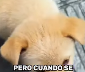 A3101011 Una historia cambio hoy (Parte 2)