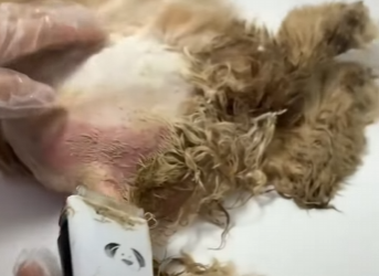 A3101007 El rescate devolvio la calma (Parte 2)