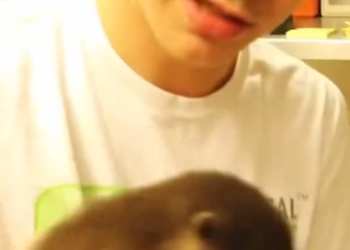 C2901011 Love stepped in before it was too late (Part 2)