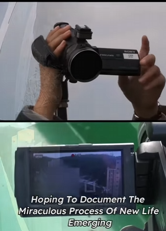 C2901003 Where care appears, fear fades (Part 2)