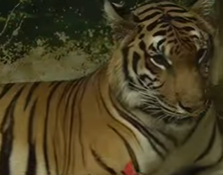 C2901009 Hope entered with helping hands (Part 2)