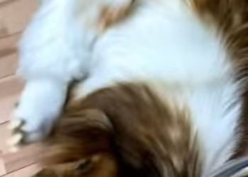 C2901012 A small act with a big impact (Part 2)