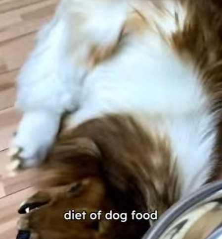 C2901012 A small act with a big impact (Part 2)