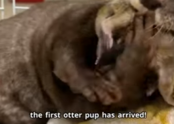 C2901013 From struggle to steady healing (Part 2)