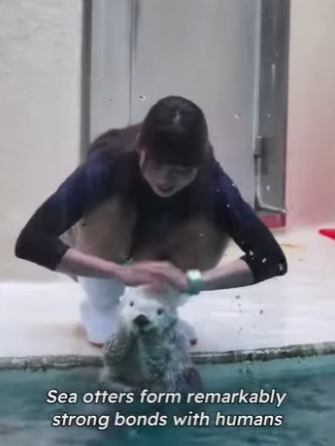 C2901004 Another fragile soul now protected (Part 2)