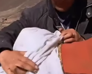 C2901007 From danger into gentle safety (Part 2)