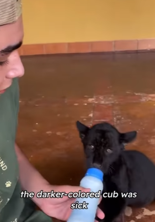 C2901006 A rescue built on patience and heart (Part 2)