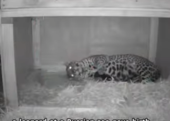 C2901014 Safety begins with compassion (Part 2)