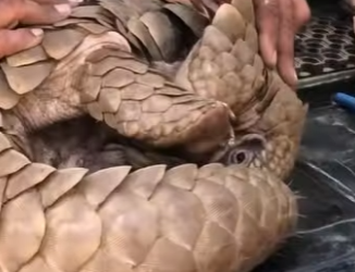 C2901005 Kindness arrived when it mattered most (Part 2)