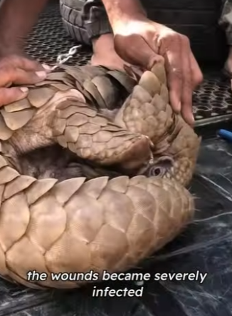 C2901005 Kindness arrived when it mattered most (Part 2)