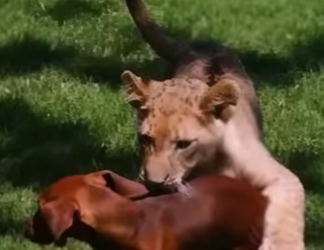 C2901008 This moment changed a lifetime (Part 2)