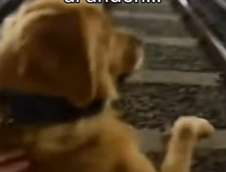 This rescue gave back trust (Part 2)