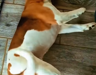 M3101007 El rescate eligio la calma(Parte 2)