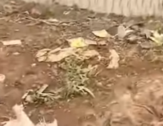 M3101011 El cuidado fue suficiente(Parte 2)