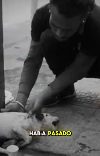 M3101005 Una nueva oportunidad comenzo hoy(Parte 2)