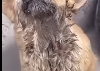 M3101009 Una nueva oportunidad comenzo hoy(Parte 2)