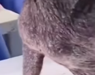 M3101008 Una oportunidad fue protegida(Parte 2)