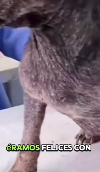 M3101008 Una oportunidad fue protegida(Parte 2)