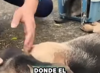 M3101014 Un rescate que devolvio la esperanza(Parte 2)