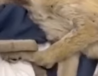 M3101002 El amor no paso de largo(Parte 2)