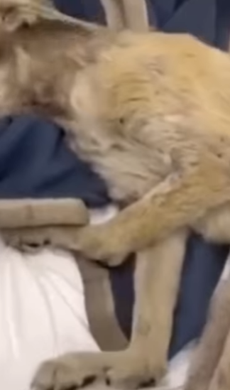 M3101002 El amor no paso de largo(Parte 2)