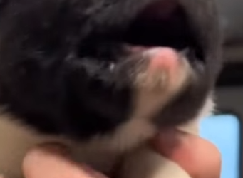 M3101010 Donde hubo dolor ahora hay cuidado(Parte 2)