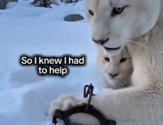 Z3001002 From fear into trusted hands (Part 2)