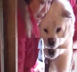 V3101014 Una oportunidad fue salvada (Parte 2)