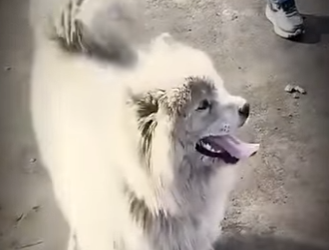 V3101010 El cuidado llego con amor (Parte 2)