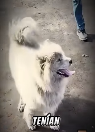 V3101010 El cuidado llego con amor (Parte 2)