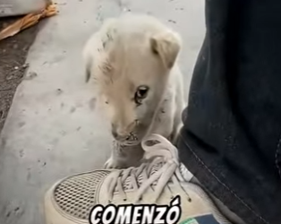 V3101001 Hoy comenzo una historia mejor (Parte 2)