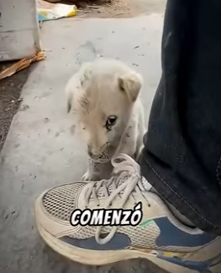 V3101001 Hoy comenzo una historia mejor (Parte 2)