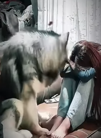 V3101003 La ayuda hizo posible el cambio (Parte 2)