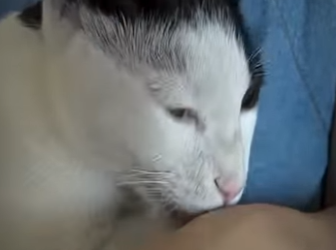 V3101006 La bondad llego primero (Parte 2)