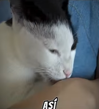 V3101006 La bondad llego primero (Parte 2)