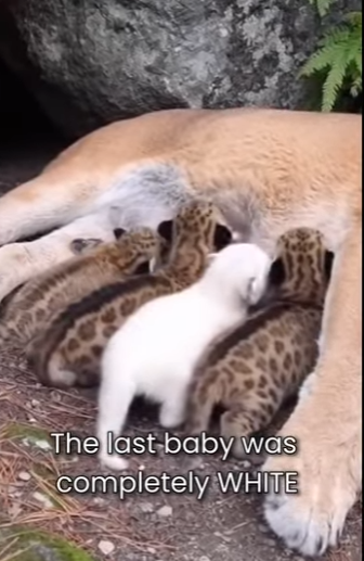 M0101002 His Mom Rejected Him Because He Was White (Part 2)