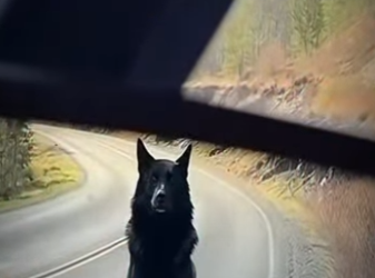 V3101012 Hoy alguien recibio proteccion (Parte 2)