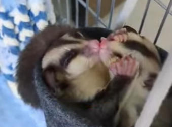 L3101001 La ayuda hizo posible el cambio (Parte 2)